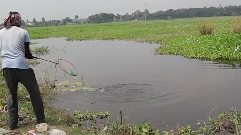 how to catch fish by hook. Fishing video. 