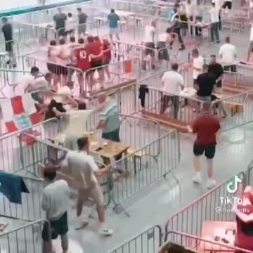 Come bestiame nei paddok Giugno 2021