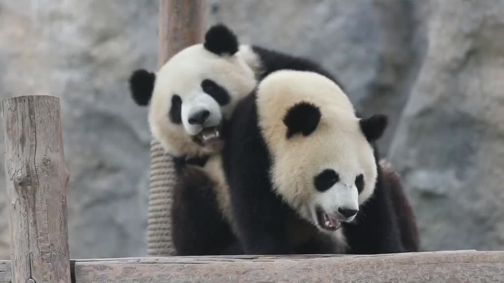 Close pandas