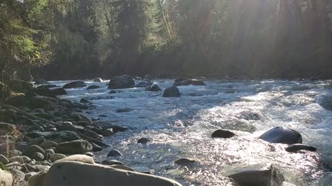 Carbon River