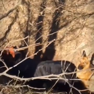 Ukraine Russia War Casualties