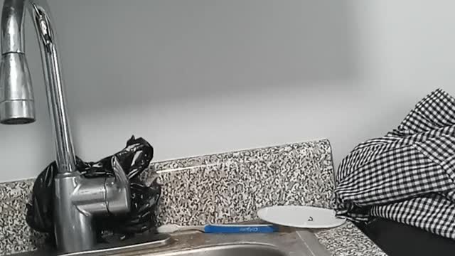 Adams casts Sliwa as Trumpian wannabe in speech