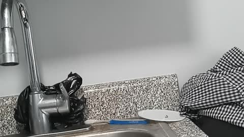 Adams casts Sliwa as Trumpian wannabe in speech