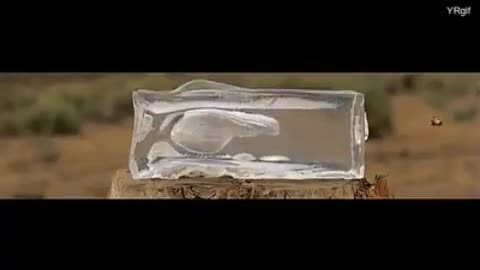 Slow motion .44 magnum into ballistics gelatin.