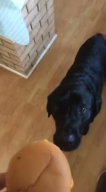 Chopper mouth 🤣😂🤣