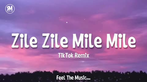 Zile Zile Mile Mile Tiktok Remix Song