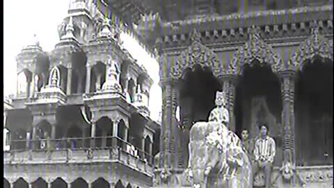 cat opens wardrobe door