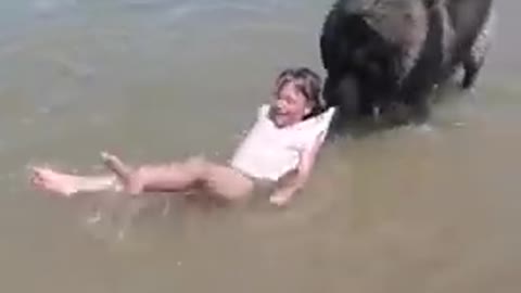 Dog rescues girl