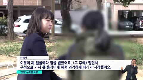 길고양이 밥 주지 마!…주택가서 얼굴에 침 뱉고 기습 폭행 SBS