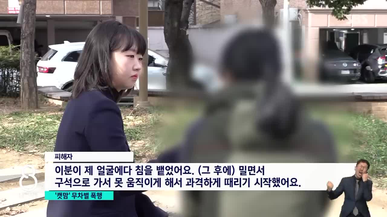 길고양이 밥 주지 마!…주택가서 얼굴에 침 뱉고 기습 폭행 SBS