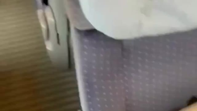 The invasion has begun.