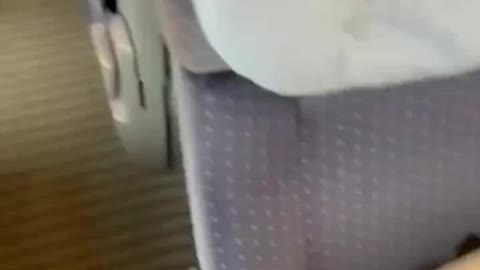 The invasion has begun.