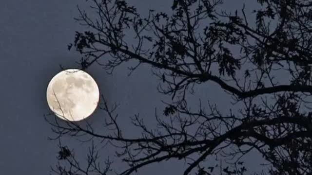 Claude Debussy Moonlight Full Orchestra