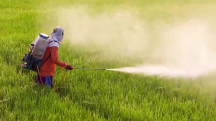 SEQUEL DI CROLLA CABALA, CROLLA! - PARTE 11: La piovra e i suoi tentacoli