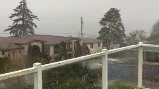 Hail and high winds in Kirkland, Washington