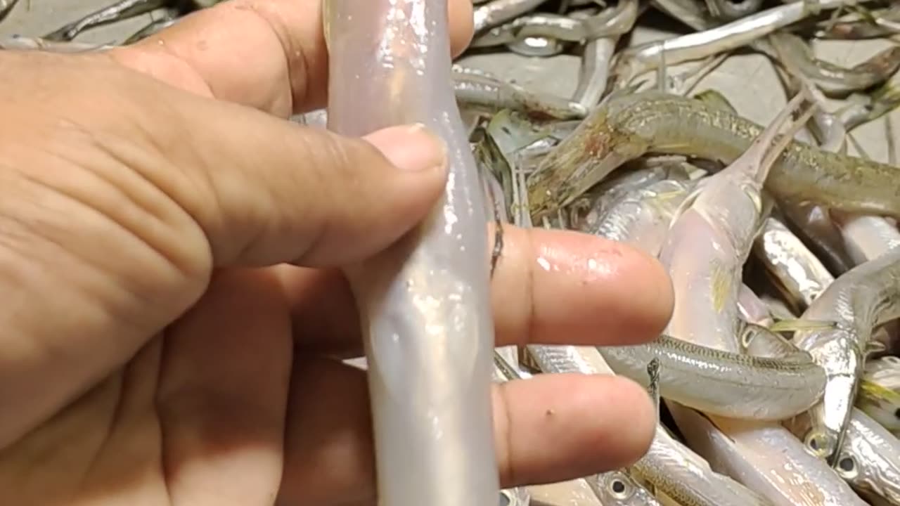 River Fish Kakila Video In Fish Market#shorts