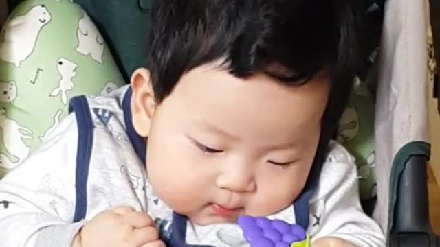 This is a video of a baby eating a toy grape deliciously.