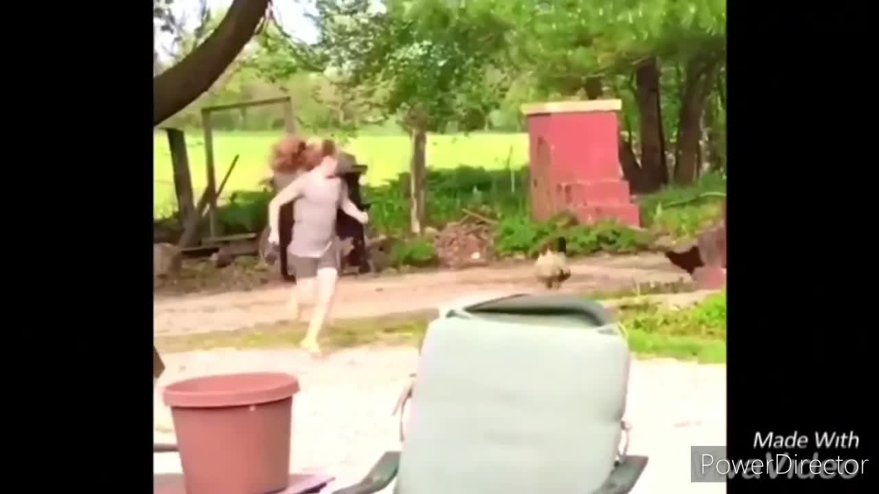 funny Pets chasing Kids