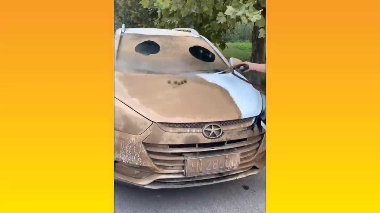 Oddly Satisfying Video Compilation #1