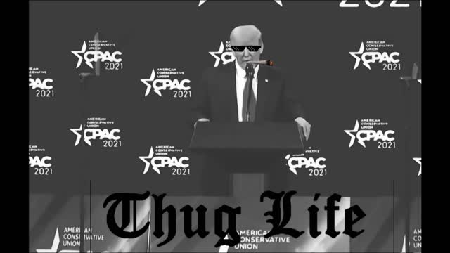 New Donald Trump Thug Life Moments! | 2021