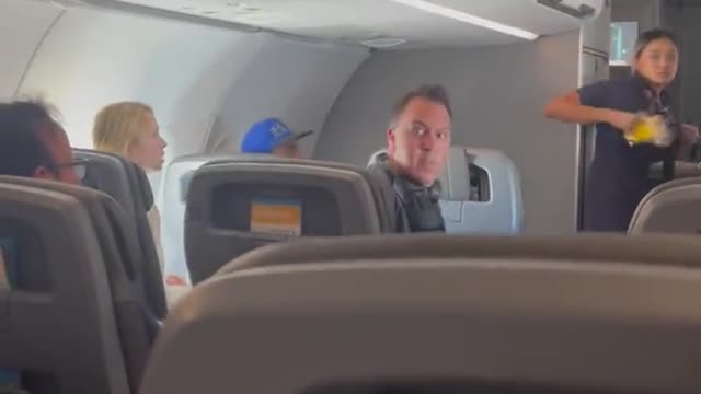 American Airlines passenger punched a flight attendant