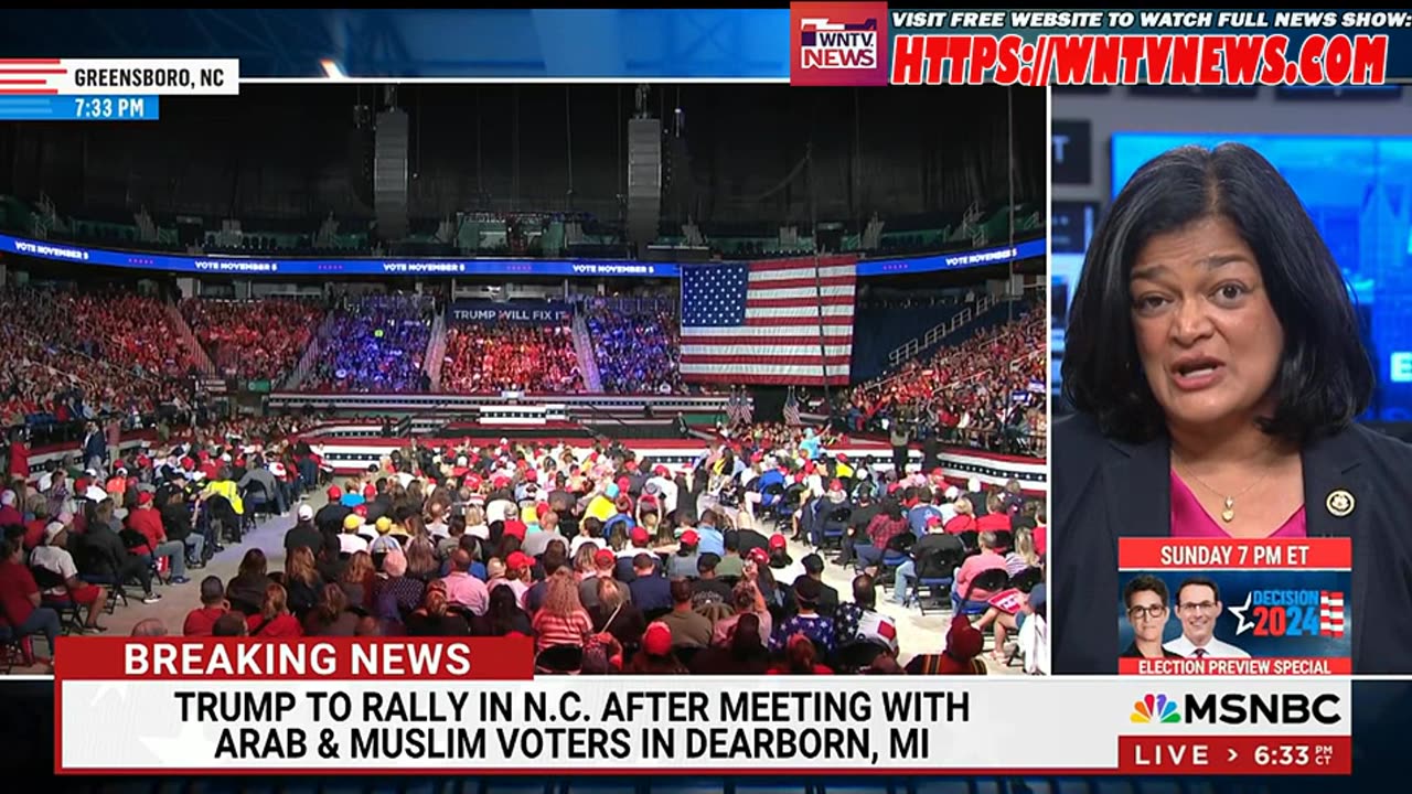 Ayman With Ayman Mohyeldin 7PM - 11/2/2024