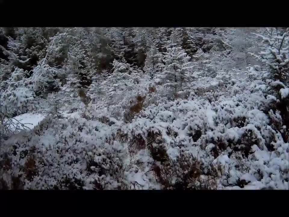 Paupers Peregrination Wild camp "Beast from the East" 2018