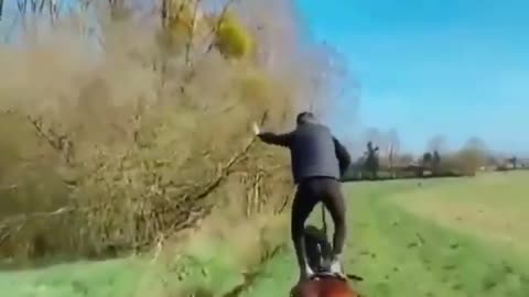 Pro horse rider.