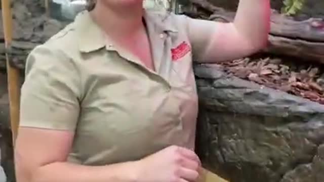 Have you ever seen a Black Dragon 😲 | zoo life | tiktok