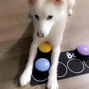 Say hello to my friend❤️❤️