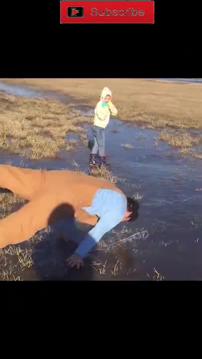 Best Funny Video Clips #shorts (122)