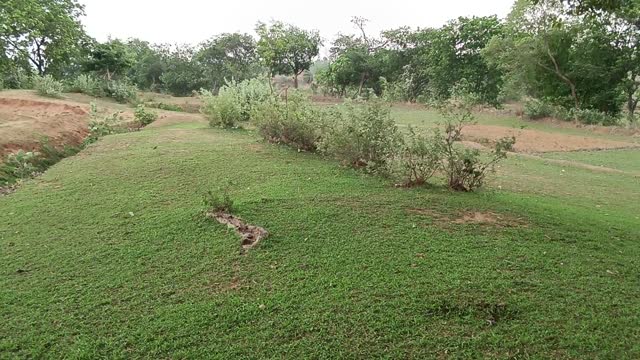 Heavy Thunderstorm || Thunderstorms Sounds