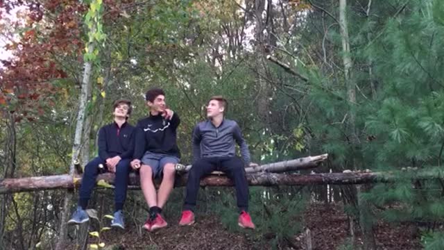 Boys Epically Fall Off Broken Branch