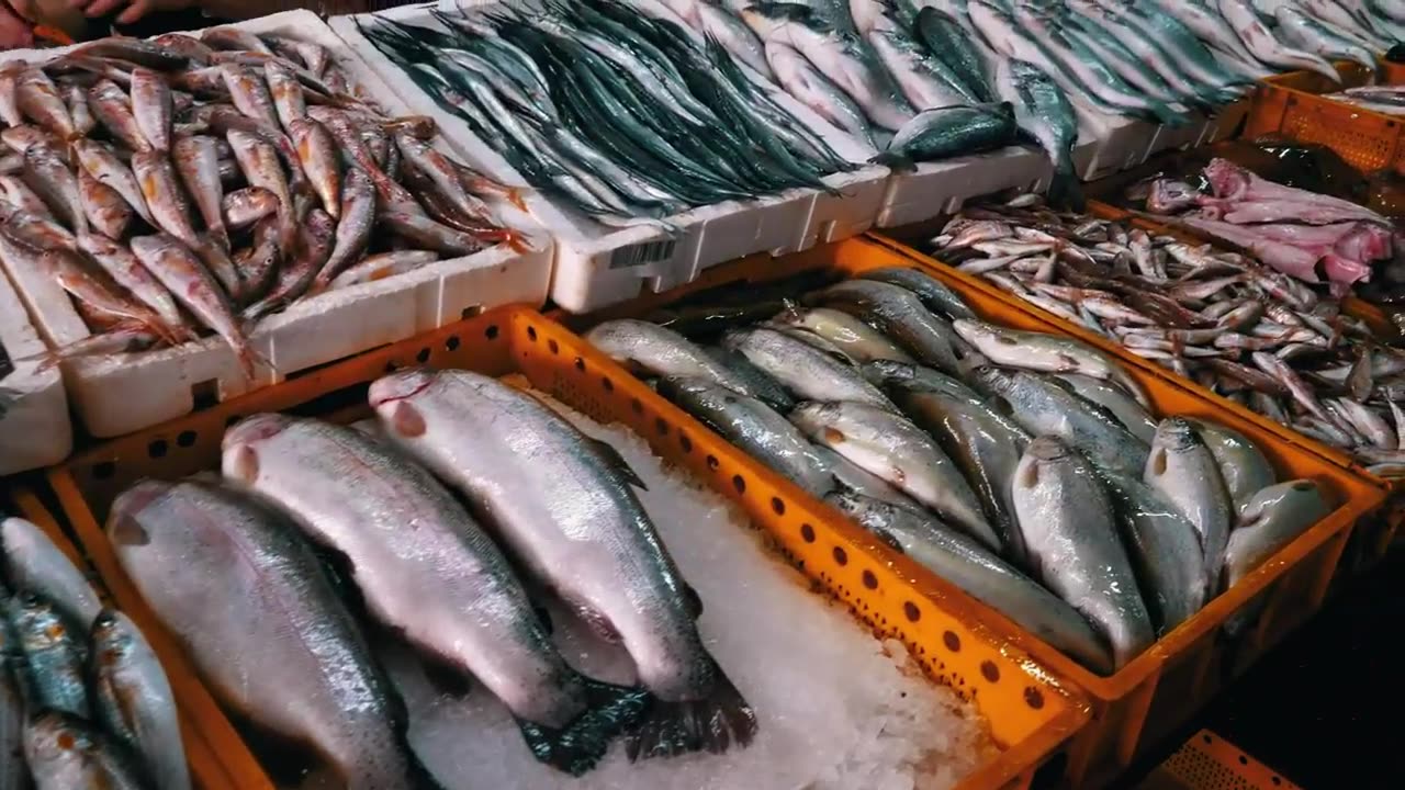 Fresh fish on ice trays