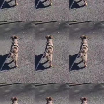 She grabbed every single stick....