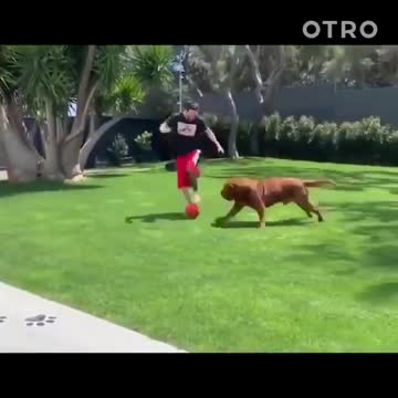Messi playing soccer with his son and dog
