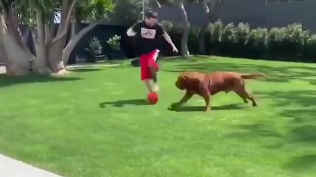 Messi playing soccer with his son and dog