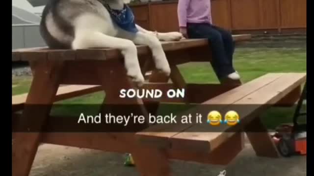 Funny girl and dog sound