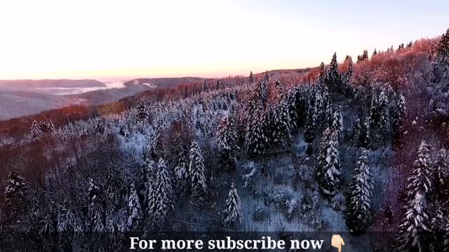 Vosges France Snow Nature Landscape Relaxing🧘‍♀️🧘‍♂️ open sound 🔊