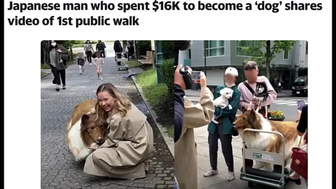 INSANE MAN THINGS HE IS A DOG!