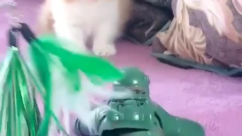 Cute cat and soldier toy