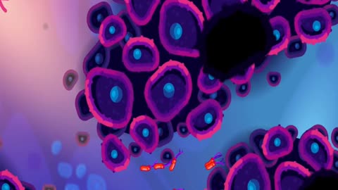 Your Incredible Immune System