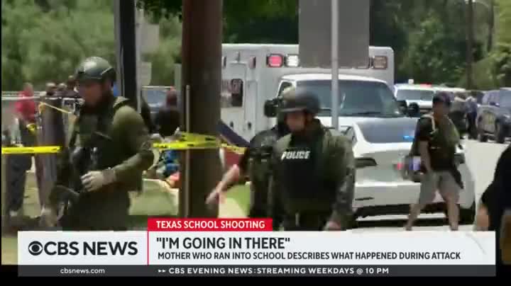 US Shooting Mom (Fraud debunked)