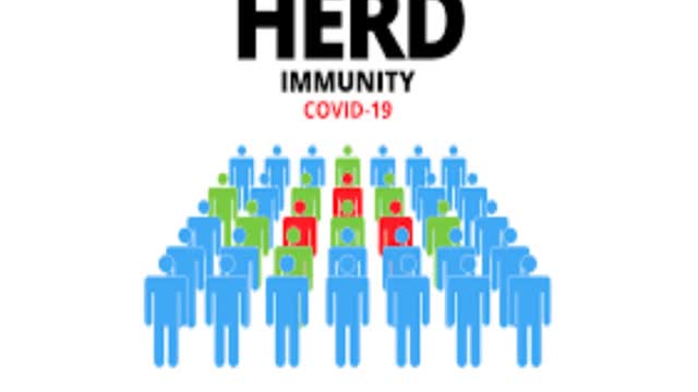 Covid-19 Herd Immunity