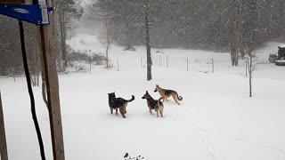 Feb 15, 2021 Snow Paron Arkansas