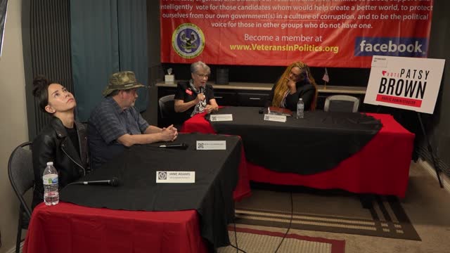 US Congress Nevada District 1- Steel, Cavanaugh, Lenoir, Adams -VETERANS IN POLITICS INTERVIEWS