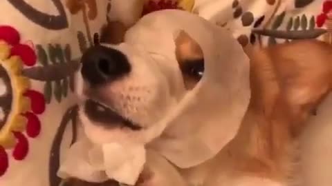 Love is in life