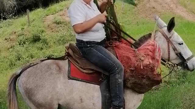 Cuando eres feliz viviendo en el campo