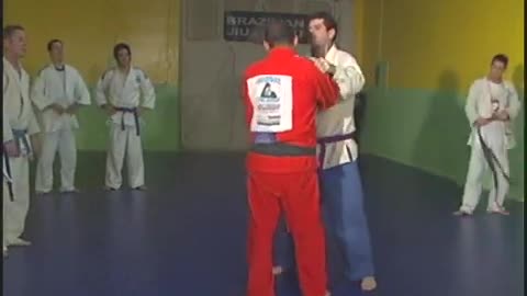 Gustavo Froes BJJ Ultimate Lessons Vol10 Fighters Fitness Workout Routine