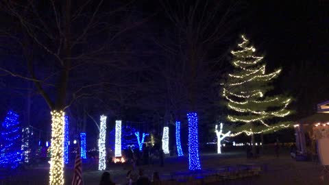 Christmas display with music